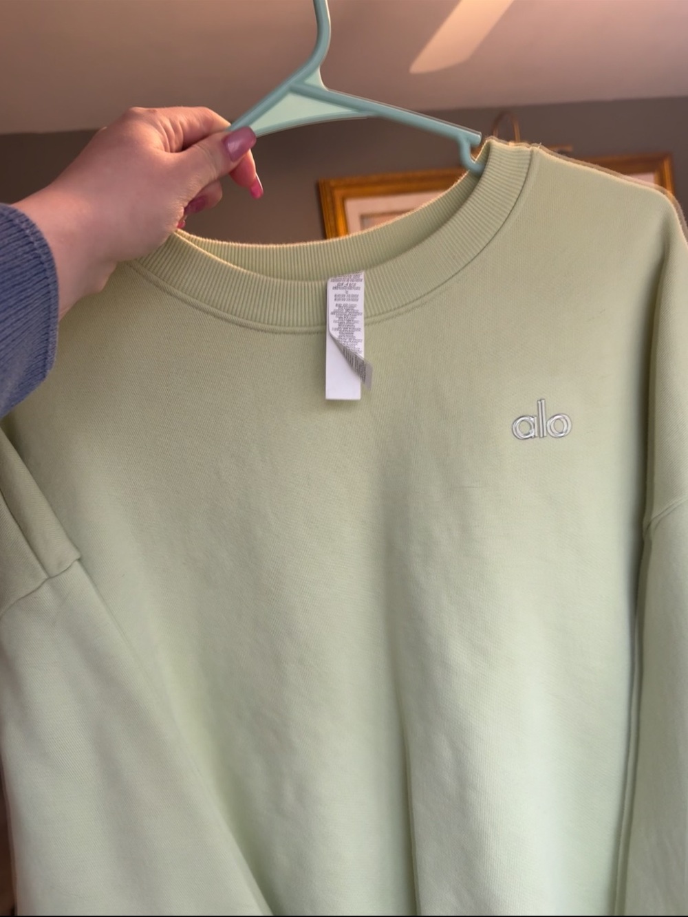 ALO Yoga Women's Crewneck Sweatshirt in Pale Green